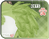 [Pets]Izu |shldr feather
