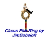 Circus Fire Ring