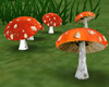 circle mushrooms