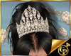 GP*WDG Crown Aimeh