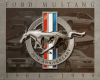 Mustang-35th Anniversary