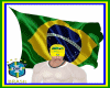 Bandeira açao- Copa22