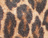 leopard print pants