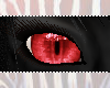 Red Cat Eyes {F}