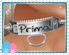 "Primal" Custom Collar