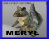 Mr. Meryl D Squirrel