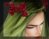 Red Rose Crown e