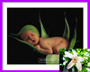 Flower Baby Picture