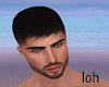 Realistic Head