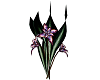 Sacred Nebula Flowers