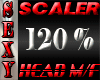 SEXY SCALER 120% HEAD