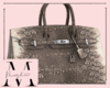 Lizard Ombre Birk Varan