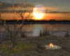 Bonfire