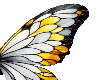 yellow wings