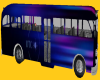 DTC City Bus