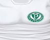 Camiseta  Palmeiras