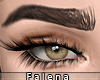[👁] Falena Eyebrows
