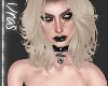 ~NV~ Presley Cream