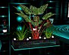 [C]4L Club Plants v3