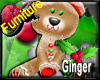 !P!Bear-GingerFURN