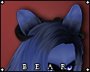 B | Taurus Ears