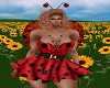 Ladybug Dress Large