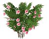 iM0 Pink Rose Bush