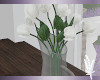 Country Tulips Ivory