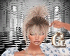 Transparent BUNDLES
