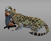 cuddle leopard