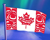 CAN First Nations Flag