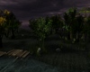 C* Ashen Grove