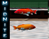 (M) Animated Fish