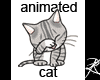 Animated Cat Sticker