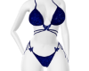 Blue Butterfly Bikini