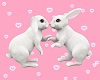 Bunnies in love 💋