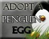 Adopt a Penguin Egg!