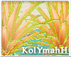 KYH | Coubana plant
