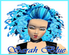 Sarah Blue