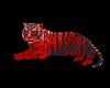 +Cudle Tiger+