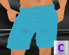 Boy Teal Shorts