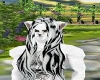 Long White Tiger Hair