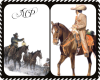 2 Cowboy Fillers