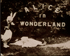 t~ Alice in Wonderland 2