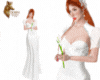 vs Bride