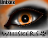 Whiskers :Tango Eyes US