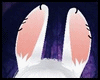 *Y* Bunny Ears