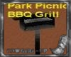 Park Picnic Grill