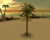 Palm anim.