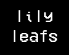 lily-leafs